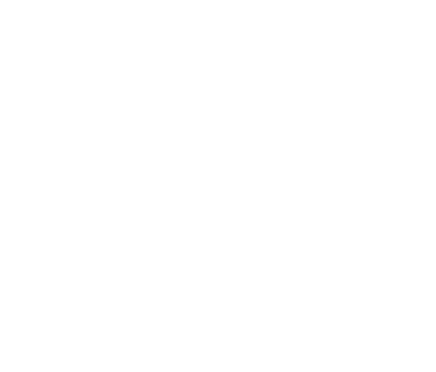 BidRush Production